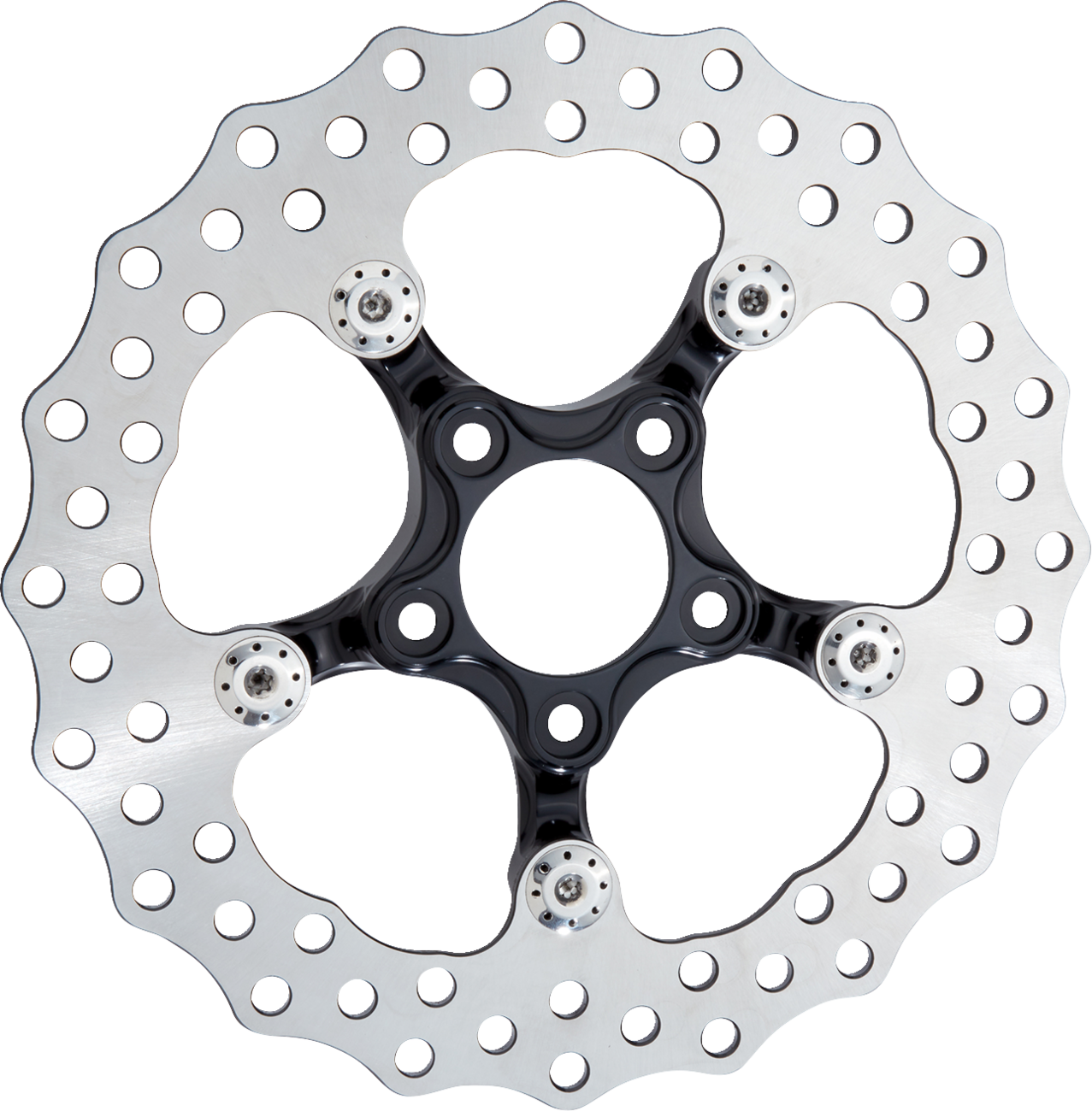 ARLEN NESS Spider Rotor - 11-1/2" - Black 300-056