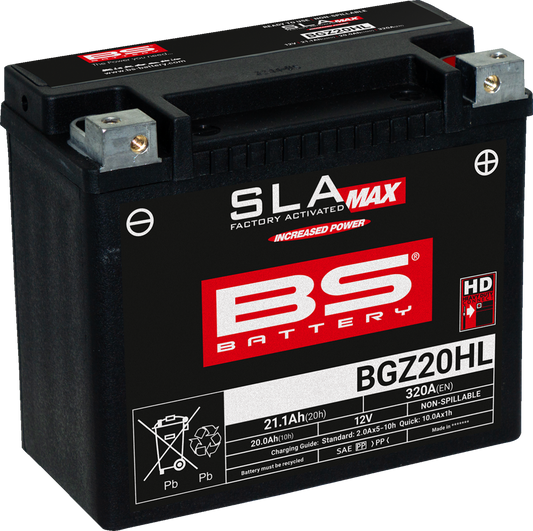 BS BATTERY Battery - BGZ20HL 300934
