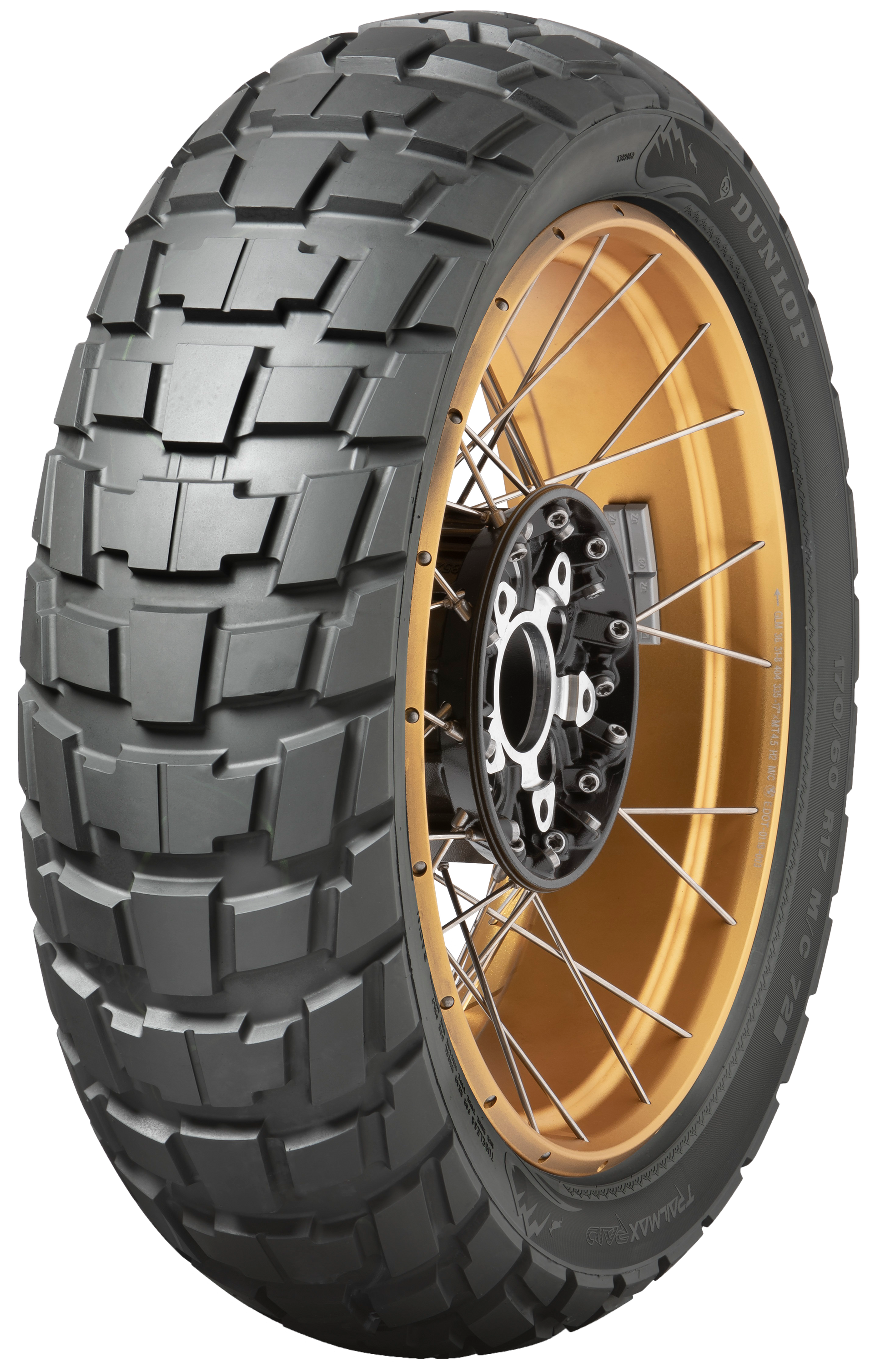 Dunlop Trailmax Raid Rear Tire - 170/60R17 M/C 72T TL
